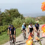Lo Scoiattolo Piedmont Bike